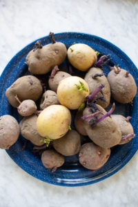 how to grow potatoes