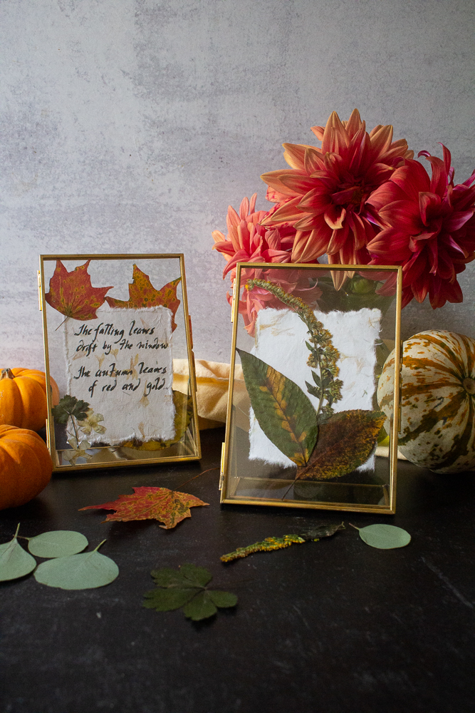 How To Frame Pressed Flowers and Leaves - Little Bites Of Joy