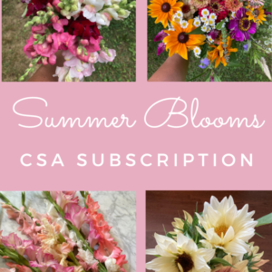 summer flowers CSA