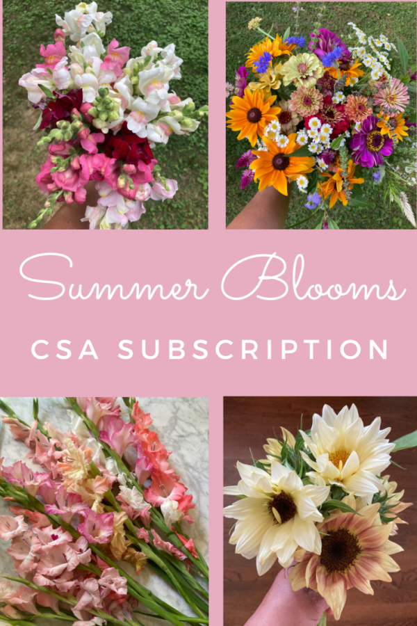 summer flowers CSA