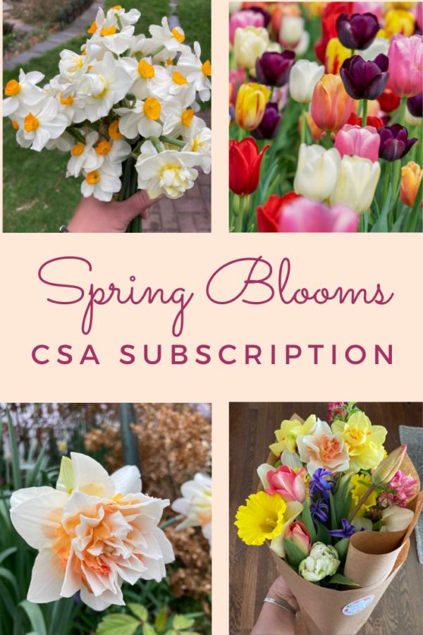 spring blooms CSA